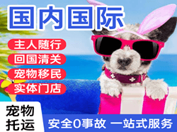 南阳姜营机场货运国际宠物托运 【国